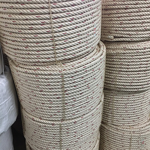 Dây Thừng Trắng