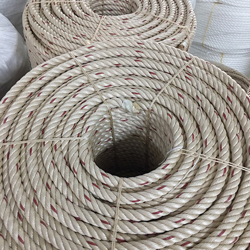 Dây Thừng Trắng